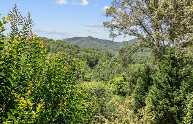 Penny by Avantstay Weaverville Home w/ Mtn Views - Foto 22