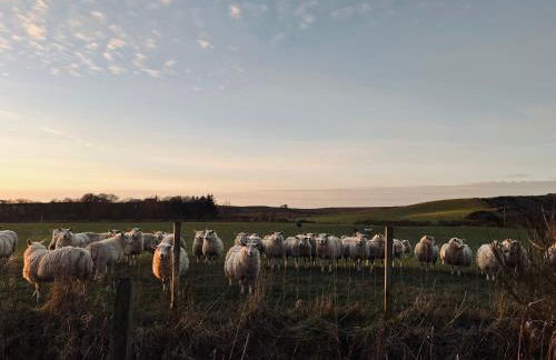 Tumbledown Croft, rural cottage near Cruden Bay - Photo 8