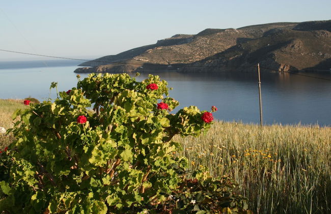 Kalderimi - Photo 50