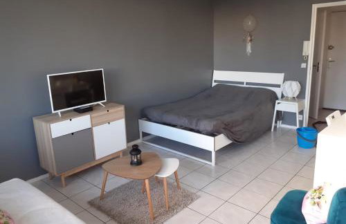 Ideal T1 BALCON 2 personnes - Foto 1