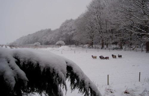 Ferienwohnung Am Walde - Photo 54