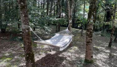 Gîte Le Petit Bois, près de Rocamadour, Padirac - Foto 5, Garden, Garden view