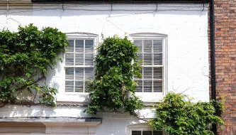 Joe's Cottage - Foto 5