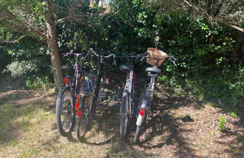 Maison à deux pas des Dunes et de la plage-15mn du Vendée Globe - Photo 12