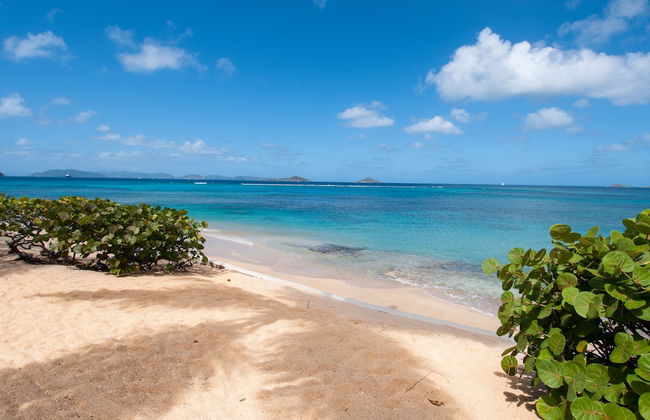 Mango Bay Resort - Foto 36