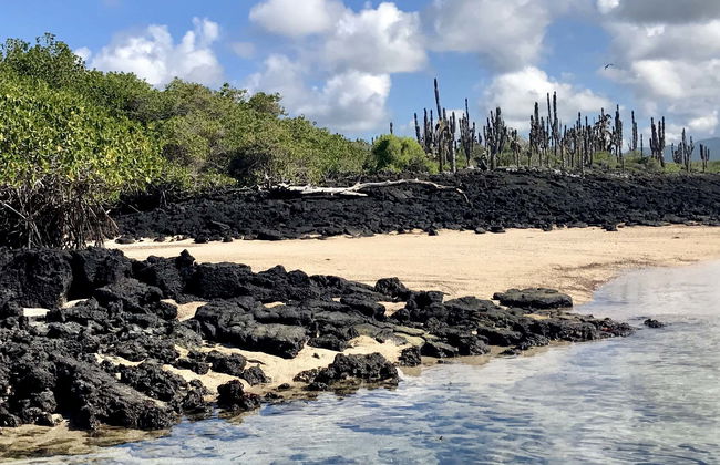 North Seymour Island Tour - Foto 1