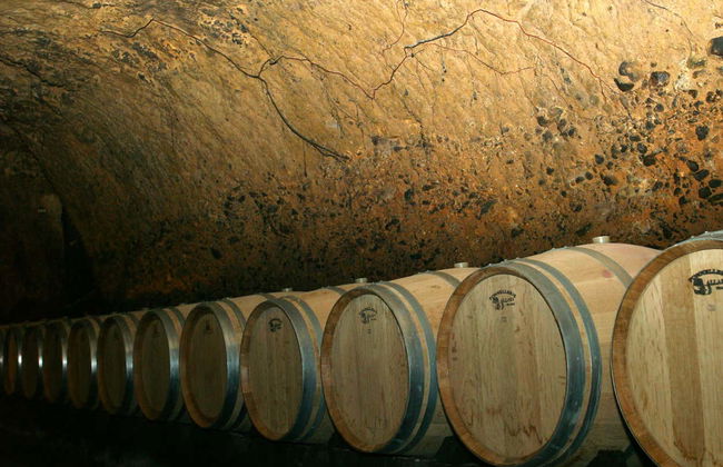 Excursión a Biblos + Bodegas Ixsir y Chateau Musar - Foto 3