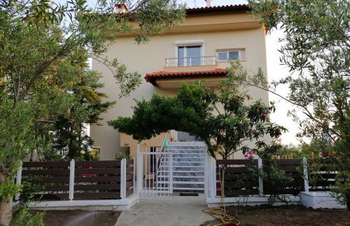 Herodicus villa - Foto 33