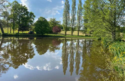 Les Rimpaudieres - Foto 10