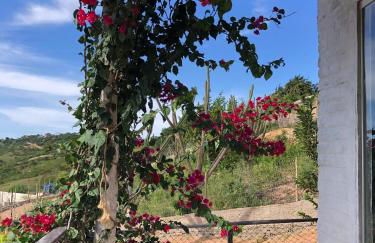 Paradise Camp - Foto 43