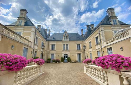Appartement dans Château exceptionnel - Foto 38