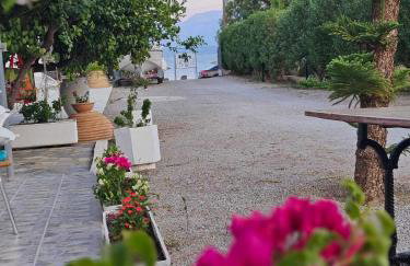 Oasis Studios AG PANTES - Photo 5