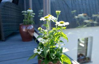 Ferienschmiede Frankenwald - Foto 23