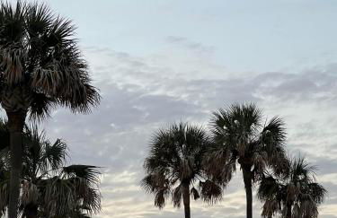 The Vista of Palm Beach - Photo 51