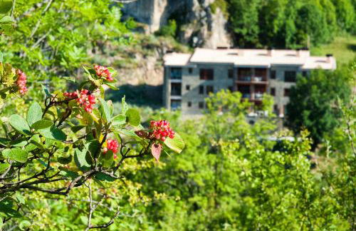 Apartaments Flor De Neu - Photo 14