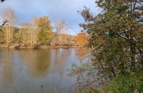 Troglo en bord de Loire, entre vignes et châteaux - Foto 14