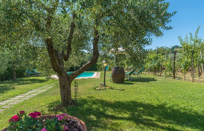 Fi-f398-albe0at - Villa Sorripa 6 - Foto 6