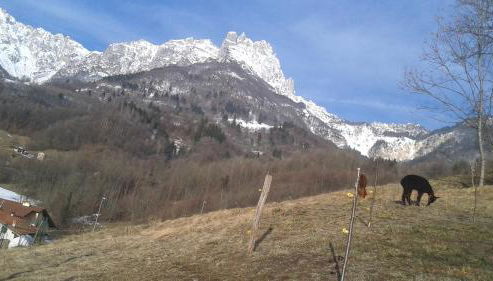 Casa da 2 a 7 posti nelle Piccole Dolomiti - Foto 3