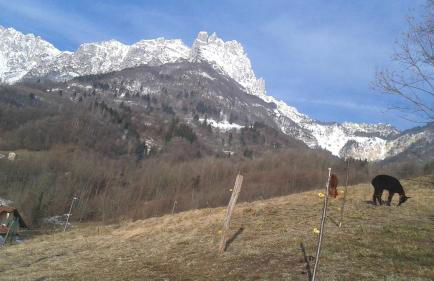 Casa da 2 a 7 posti nelle Piccole Dolomiti - Foto 3