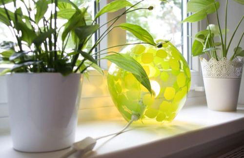 Ferienhaus Haas - Am Heidschnuckenweg - Foto 20