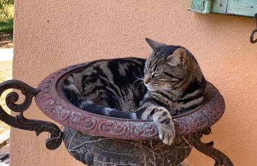 Mymoustiers - Foto 64