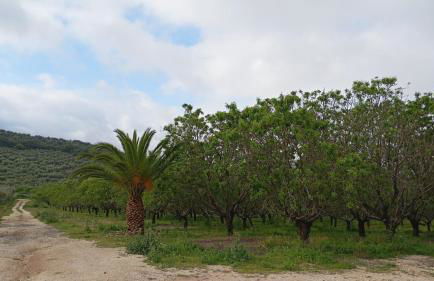 Casas Rurales Cortijo la Cañada - Photo 58