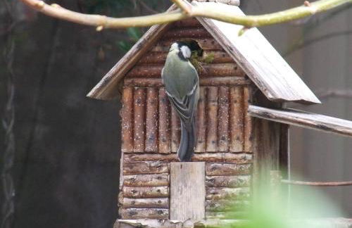 Le Chalet des Fanières - Photo 11