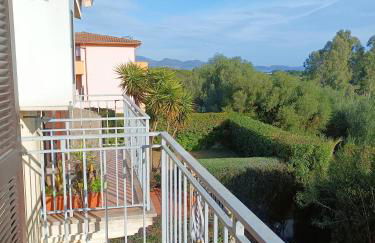 Abete Bianco - Photo 21