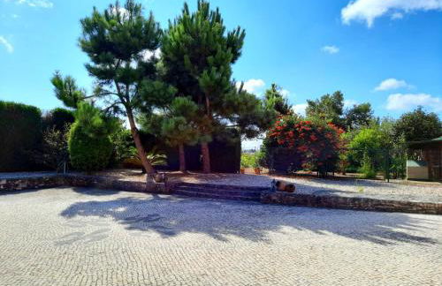 QM - Quinta da Morgadinha - Casa em Quinta Rural - Foto 36