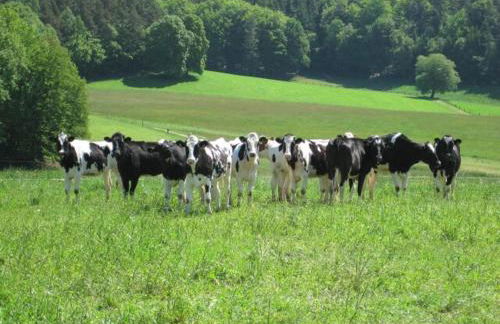 Haus-Dorfidyll - Foto 39