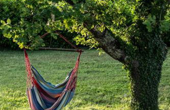 La Corte del Chianti Classico - Foto 14