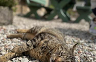 Ca Nova Agriturismo - Foto 53