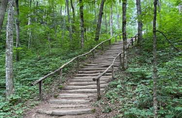 Luxury Mountain Retreat with views, fire pit, and creek - Foto 33