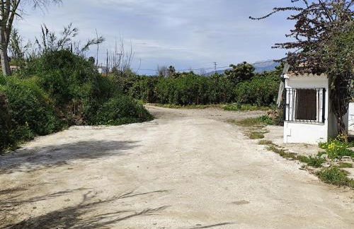 Andalusian Pool Parties Music & Magic - Photo 16