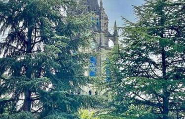 Amatxo Maitia - Amplio piso, de pelicula. - Foto 44