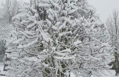 Ferienhaus Dreier-Ley - Foto 26