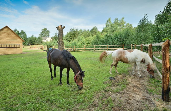Holiday Home in Skrzynia With Terrace - Photo 35