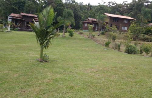 Sítio Vida - Photo 15