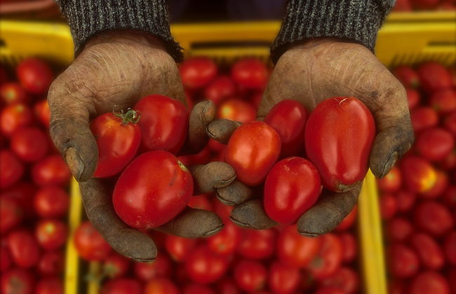 Agriturismo Villa Dafne - Foto 66
