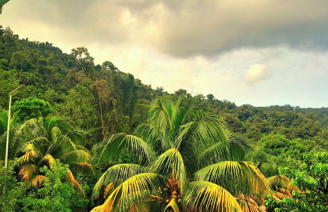 Pinard's Mountain Resort- Cottage 8 - Foto 49