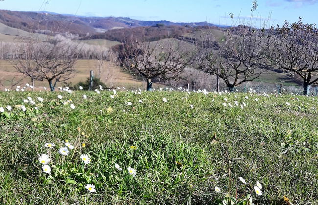 San Lorenzo Agriturismo - Foto 55