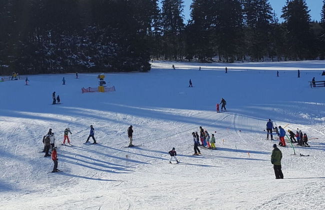 Uitzicht op de Bergen - Photo 11