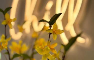 The Chalet by Hip Haus - Foto 54