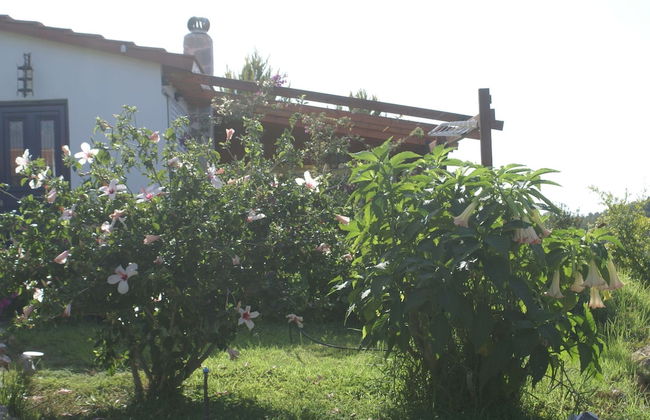 Holiday Home With Garden in Kritinia - Foto 20