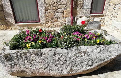 Carya Tallaya - Casas de Campo - Foto 23