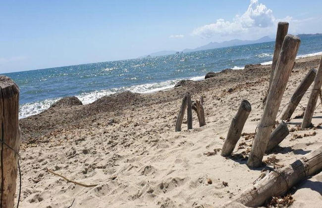 Farmhouse in Suvereto Near Etruscan Coast - Foto 35