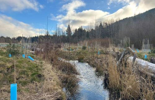 Nature Art Retreat on Breckenridge Creek with Pond! - Foto 6