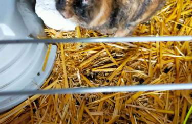 Le "Refuge" douillet, chaleureux, soins bien-être - Foto 36