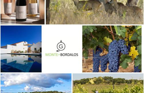 Monte de Bordalos - Foto 32