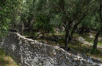 Villa Elaia Suites & Apartments No.1 - Photo 66